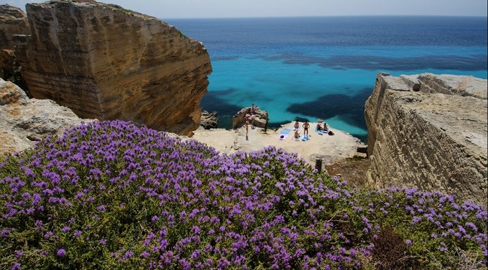 FestivalFlorio V edizione, l’Isola di Favignana sorprende ancora.