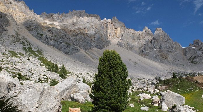 Escursioni da brivido in Val d’Ega.