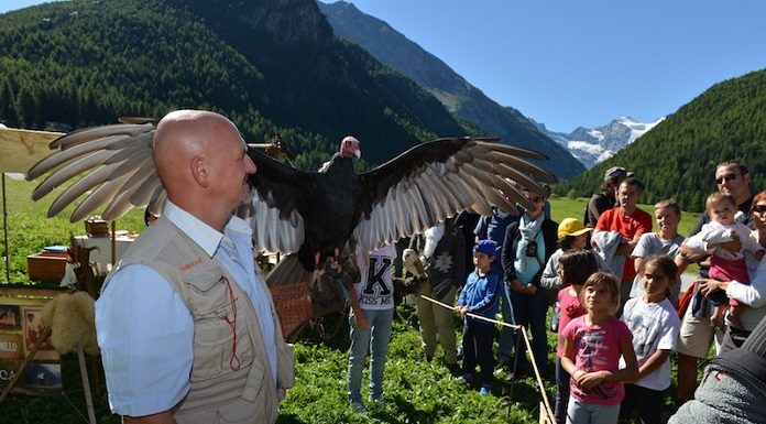 Passeggiate in carrozza e vita medievale nella valle di Cogne