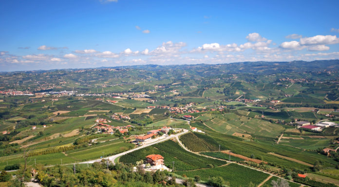 Boscareto Resort & Spa… benessere con gusto