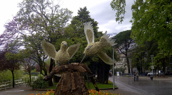 Merano accoglie la Primavera con originali sculture floreali