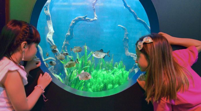 Girovagando tra le novità di Gardaland il 1° parco divertimenti in Italia