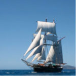 veleaustralia8