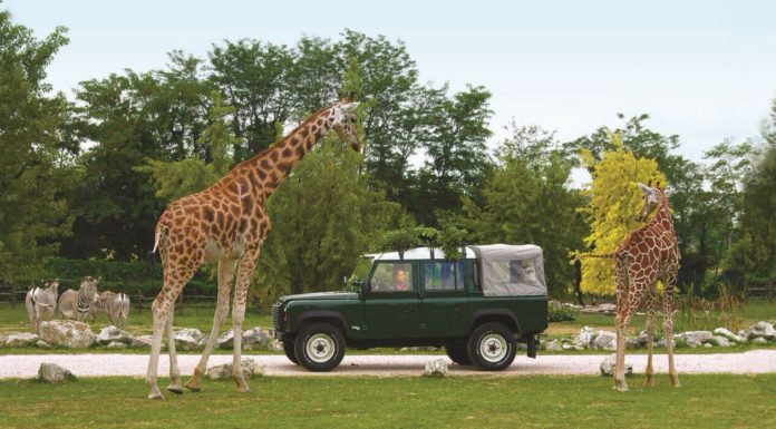 Tutto il mondo nel Parco Natura Viva di Bussolengo (VR)