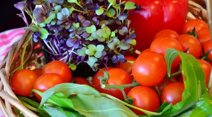 Mercato Agricolo a vendita diretta; Roma Via San Teodoro 74