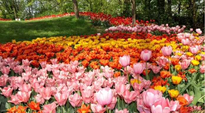 Italia in fiore