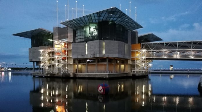 L’OCEANARIO DI LISBONA: UNA IMMERSIONE PER TUTTI NEGLI ABISSI DEI VARI CONTINENTI