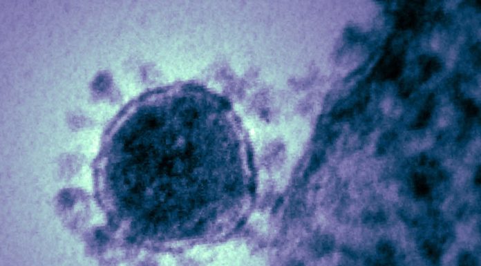 SIAMO IN GUERRA: COMBATTERE IL CORONAVIRUS CON OGNI MEZZO