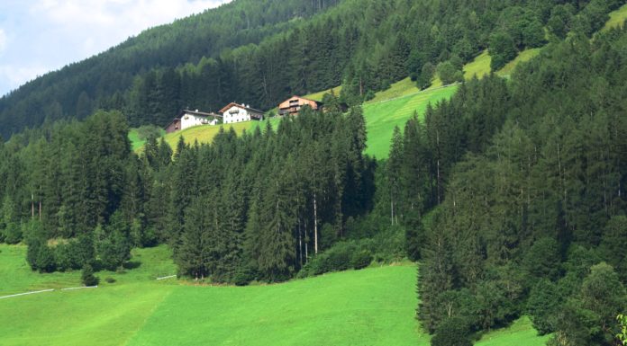 ABBRACCI GREEN