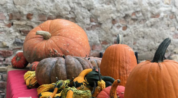 I Frutti del Castello, uno scrigno di biodiversità al Castello di Paderna