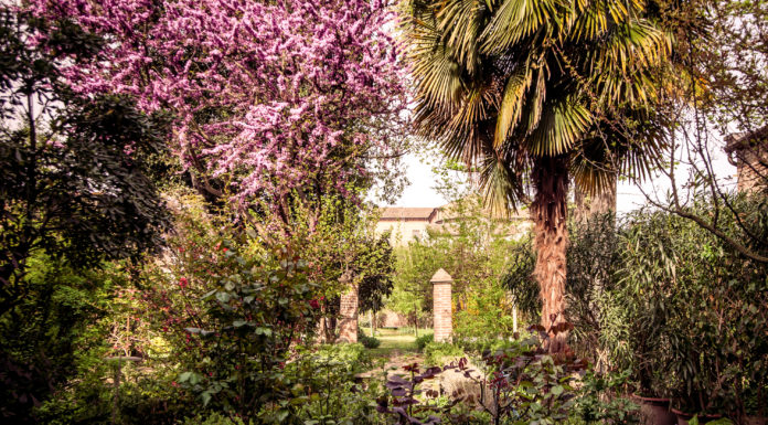 Viaggio nei giardini segreti di Ferrara