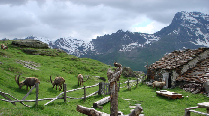 Al Parco Gran Paradiso l’Oscar per Ecoturismo di Legambiente