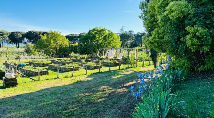 UN GIARDINO DEI SENSI TUTTO DA SCOPRIRE
