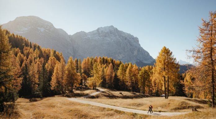 “Munts dl altonn”: come vivere l’autunno in Alta Badia