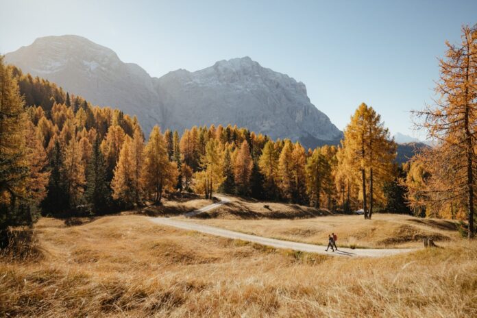 AltaBadia_autumn_byAlexMoling_ (28)