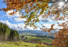 Altopiano di Asiago: torna “Vèrben”, l’autunno dei colori dei Sette Comuni
