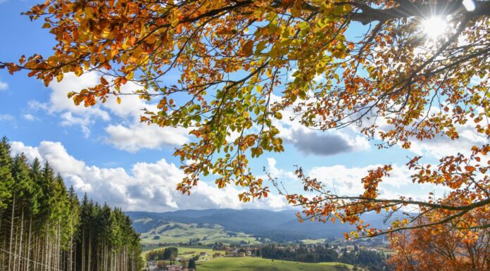 Altopiano di Asiago: torna “Vèrben”, l’autunno dei colori dei Sette Comuni